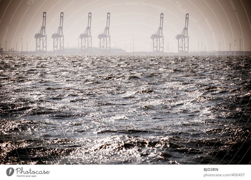 Kräne | Quintett Maschine Fortschritt Zukunft Industrie Schifffahrt Container groß Konkurrenz Wandel & Veränderung Arbeit & Erwerbstätigkeit Arbeitsplatz