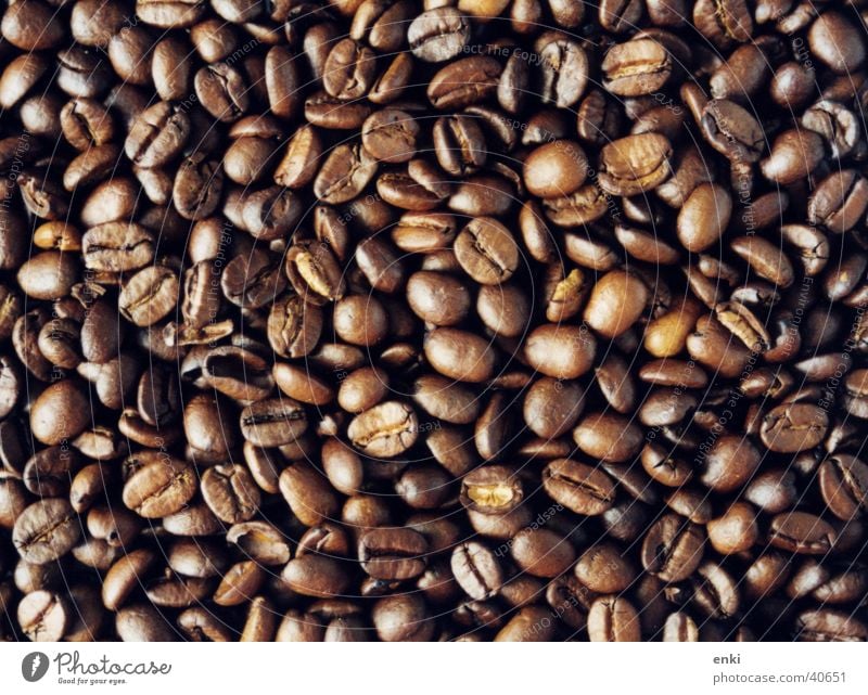 kaffebohnen Dorf Bohnen Feinschmecker Ernährung geröstet coffein Detailaufnahme