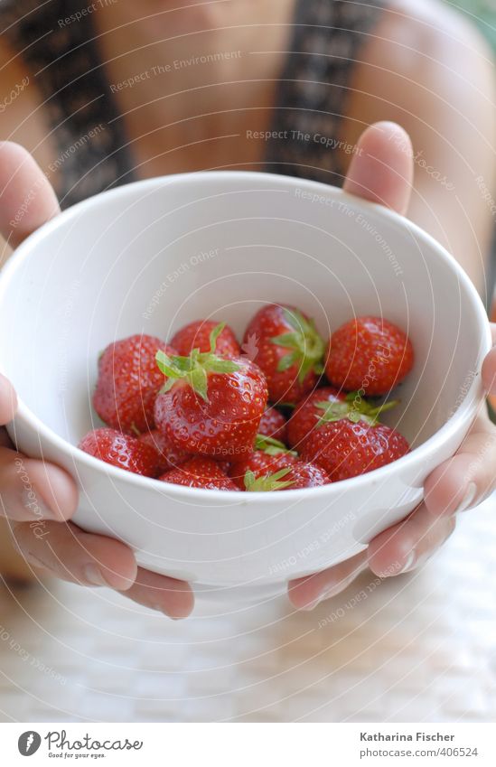 Nimm Dir .....Früchtchen..... Lebensmittel Frucht Erdbeeren Ernährung Schalen & Schüsseln braun grün rosa rot schwarz weiß genießen anbieten fruchtig saftig