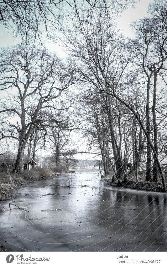 haus am see. Fluss Flussufer Haus Bootshaus Eis Winter Bäume Wasser Frost kalt Menschenleer Natur Landschaft Baum Reflexion & Spiegelung Seeufer Gedeckte Farben