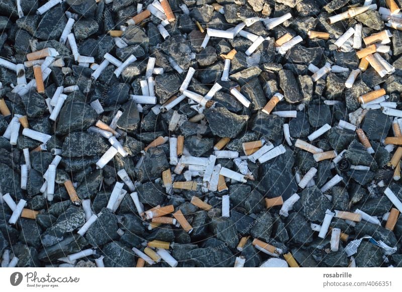 Empfehlung | mit dem Rauchen aufhören Zigaretten Kippen Müll Umweltverschmutzung wegwerfen rauchen Raucher entsorgen unverantwortlich Müllhalde