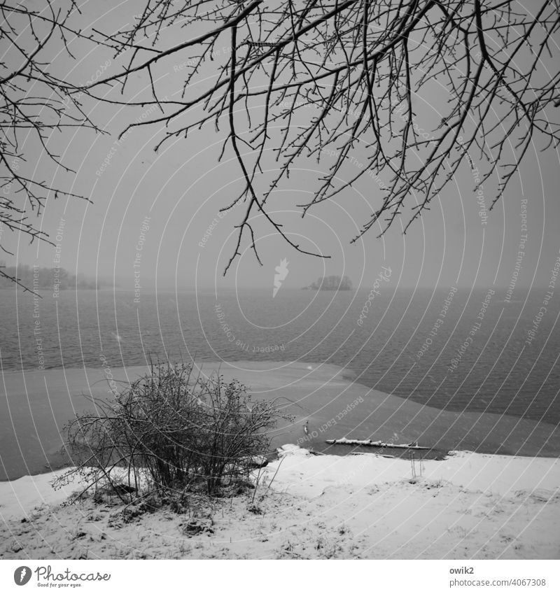 Graues Wetter See Insel Seeufer Schnee Frost Eis Landschaft Horizont Natur Winter Klima Umwelt Stausee geduldig Unendlichkeit kalt groß frieren ruhig Idylle