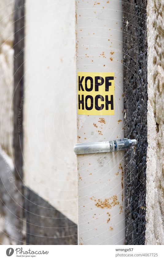 KOPF HOCH steht mit schwarzen Buchstaben auf einem gelben Aufkleber welcher auf ein Regenwasserfallrohr  geklebt wurde Kopf hoch Öffentlicheit
