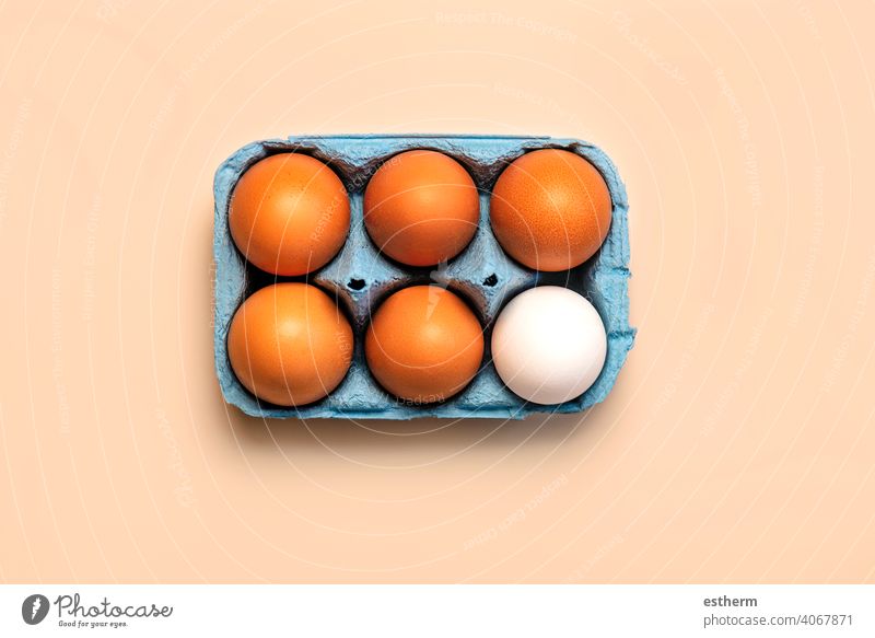 Draufsicht auf Hühnereier in einer offenen blauen Pappschachtel Eier Ostereier Hähnchen frisch Eigelb essen Container Korb Landwirtschaft Lager Bauernhof Tierei
