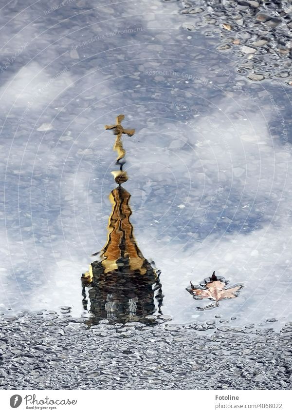 Berlins Pfützen III - Gülden Wasser Reflexion & Spiegelung nass Außenaufnahme Menschenleer Farbfoto Straße Wetter schlechtes Wetter Regen Tag Verkehrswege