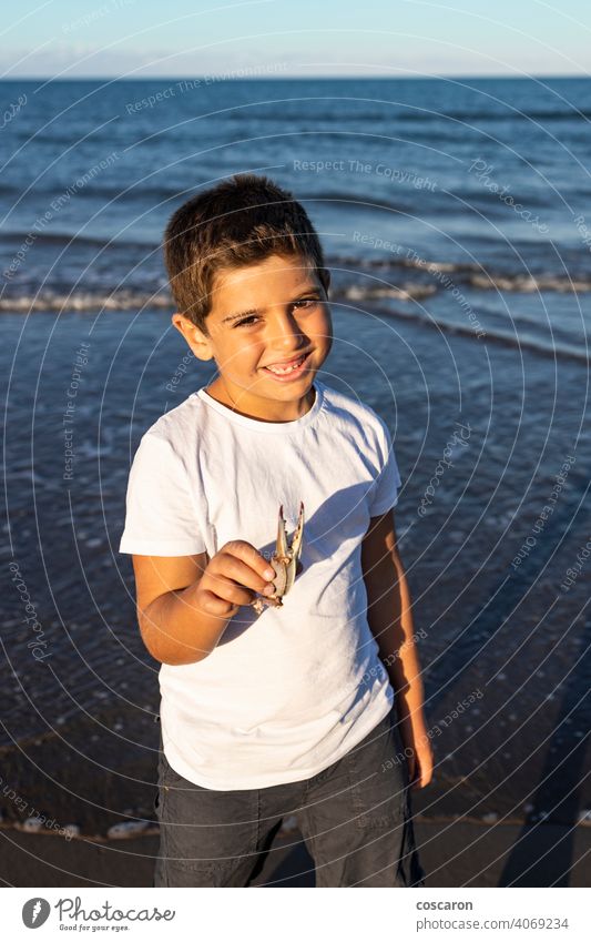 Lustiges Kind zeigt ein Krabbenbein am Strand Tier schön Junge fangen Kaukasier Krallen Küste Küstenlinie Schmarotzerrosenkrebs niedlich Hand Glück Beteiligung