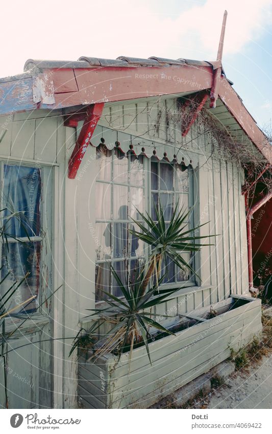 Fischerhütte Hütte Menschenleer Ferien & Urlaub & Reisen Holzhaus Palme Yucca Vintage verzierung Giebel Farbfoto Außenaufnahme Haus Tag Fassade Fenster