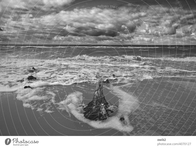 Flut Ostsee Wellen Wind Küste Schönes Wetter Landschaft Himmel Wolken Horizont Natur Umwelt Freiheit Ferne Abenteuer Schwarzweißfoto Außenaufnahme Gischt
