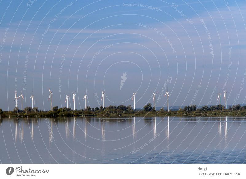 viele Windkraftanlagen mit Spiegelung am Dümmer See Windrad Energie Energiegewinnung Windenergie CO2 Wasser Seeufer Bäume Himmel Energiewirtschaft