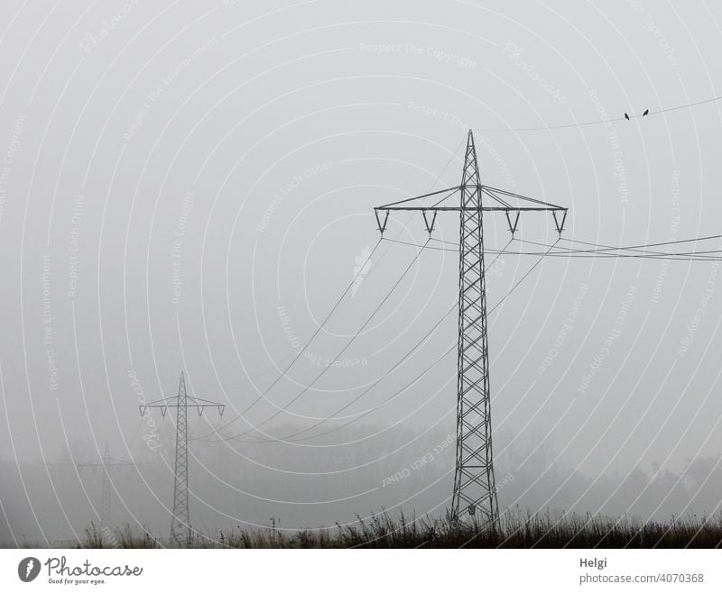 Strommasten mit Stromleitungen im Nebel Stromtrasse CO2 Energiewirtschaft Elektrizität Umwelt Außenaufnahme Technik & Technologie Kabel Hochspannungsleitung