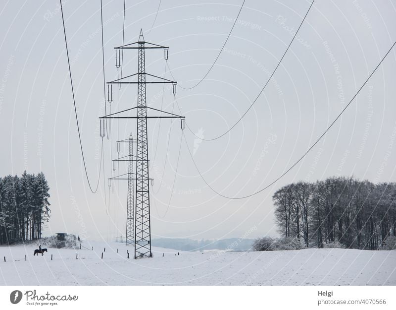 Strommasten in winterlicher Landschaft Energie Elektrizität Energiewirtschaft Hochspannungsleitung Kabel Leitung Industrie Umwelt Stromtrasse Winter Schnee