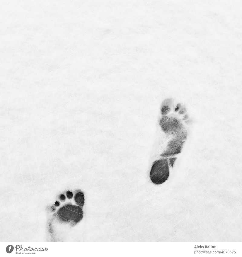 Barfuß Abdrücke im Schnee Kalt Winter Außenaufnahme Fußspur Schneespur weiß