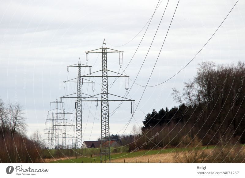 mehrere Strommasten mit Hochspannungsleitungen vor bewölktem Himmel Stromleitungen Elektrizität Energie Energiewirtschaft Technik & Technologie Leitung Kabel