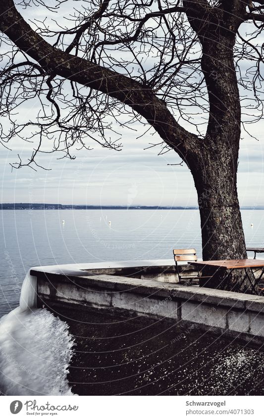 Sitzgelegenheit am Bodensee mit Eis Baum See Seeufer Stuhl Tisch kalt Winter Winterstimmung gefroren leer Einsamkeit
