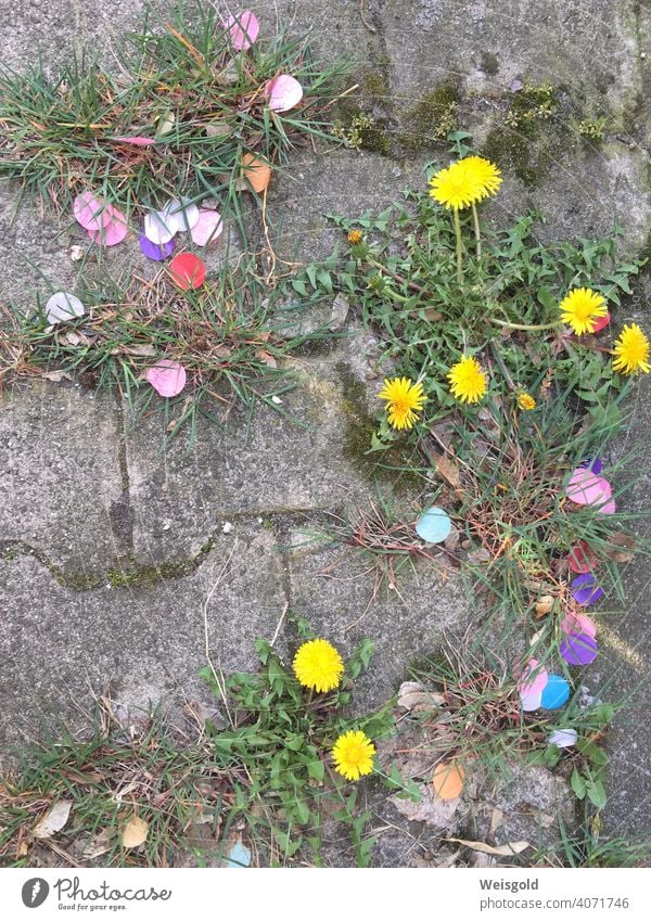 Konfetti und Blumen auf Steinboden Straße bunt gemischt Freude skurril humorvoll Stadtraum Pflanzen Gras Sommer Lebensfreude Farbfoto Natur Frühling Hoffnung