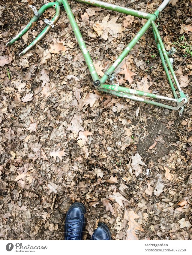 Da ist was im Busch... Fahrrad Müll liegen Schuhe Vogelperspektive Skelett Fahrradrahmen Blätter Boden Waldboden Waldlichtung Fundstück Fundstelle Außenaufnahme