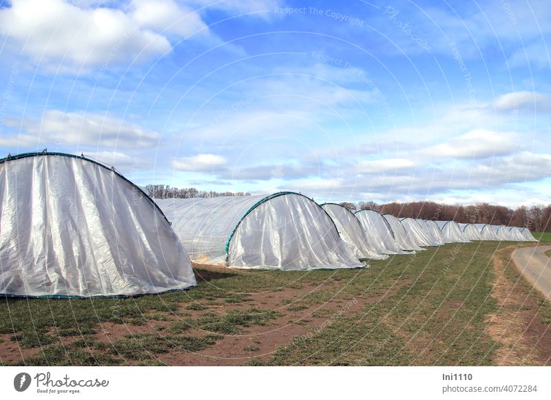 Reihe von Folientunneln für die nächste Erdbeersaison Landwirtschaft Obstanbau CO2 Umwelt Früchte umweltschonend Erdbeeren Wandertunnel Sonnenenergie