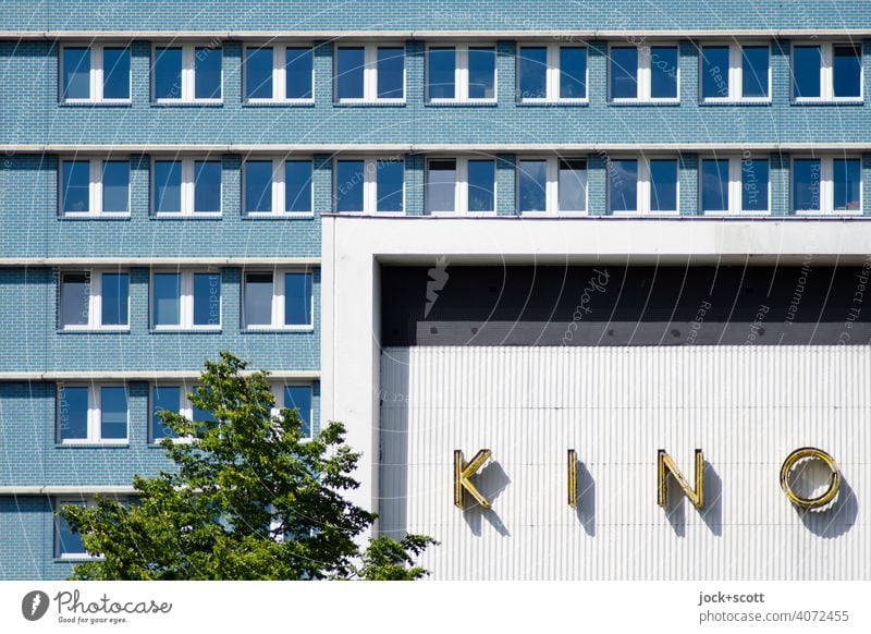 Kino Schriftzug an der Fassade eines internationalen Lichtspielhaus Architektur Wort Typographie Fenster Laubbaum Großbuchstabe Gebäude Sonnenlicht Schatten
