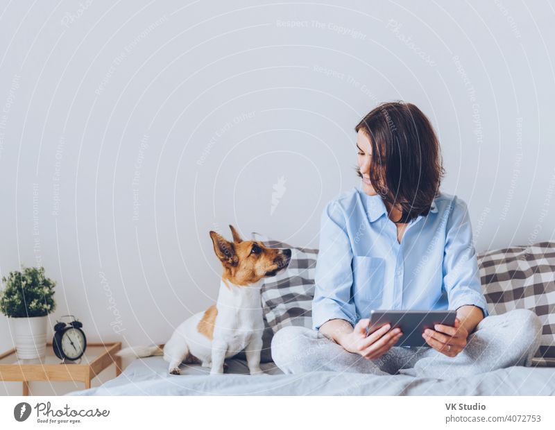 Schöne brünette Frau im Schlafanzug sitzt auf dem Bett im Schlafzimmer mit ihrem Jack-Russell-Terrier-Hund, hält Tablet-Computer, genießt Morgen Wochenende, schaut Video online, hat gute Beziehungen mit Haustier