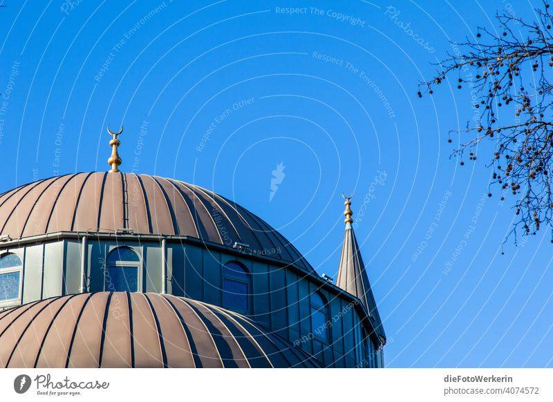 Kuppel einer Moschee von blauem Himmel Architektur Kirche Religion Turm Religion & Glaube Islam Farbfoto Außenaufnahme Gebäude Bauwerk Kuppeldach