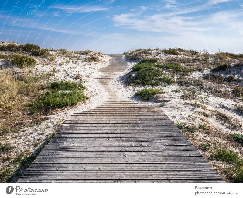Weg über die Dünen zum Strand. Punta Lariño, Galicien, Spanien Spur Sand Sommer Landschaft Natur Ferien & Urlaub & Reisen Farbfoto Himmel Tourismus Küste Meer