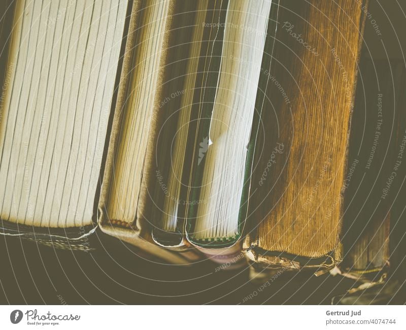Eine Reihe alter Bücher von schräg oben fotografiert Buch Lesen Stillleben Bildung Literatur lernen Wissen Lesestoff Roman Bibliothek Papier Stapel