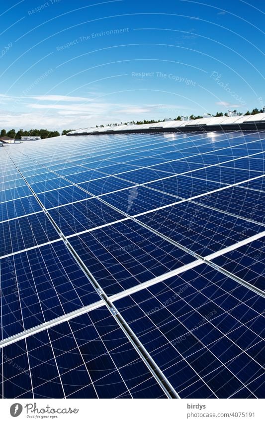 Eine Fläche von vielen photovoltaikmodulen. Solarkraftwerk auf einem Industriedach , viele Solarpaneele , Photovoltaik Sonnenenergie Solarenergie