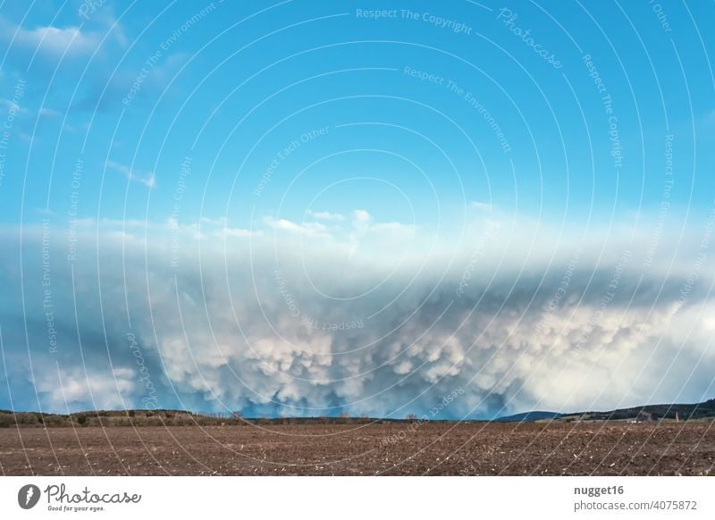 Wallcloud mit Kumuluswolken über Acker wall cloud Himmel Natur Wetter Wolken blau weiß Umwelt Klima Atmosphäre Himmel (Jenseits) Wolkenlandschaft Hintergrund