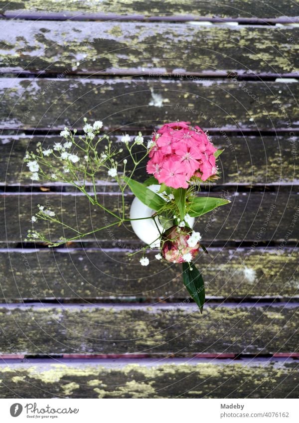 Vase mit dekorativer Blüte in Rosa auf einem alten Holztisch im Sommer bei Sonnenschein in einem Café in Bielefeld im Teutoburger Wald in Ostwestfalen-Lippe