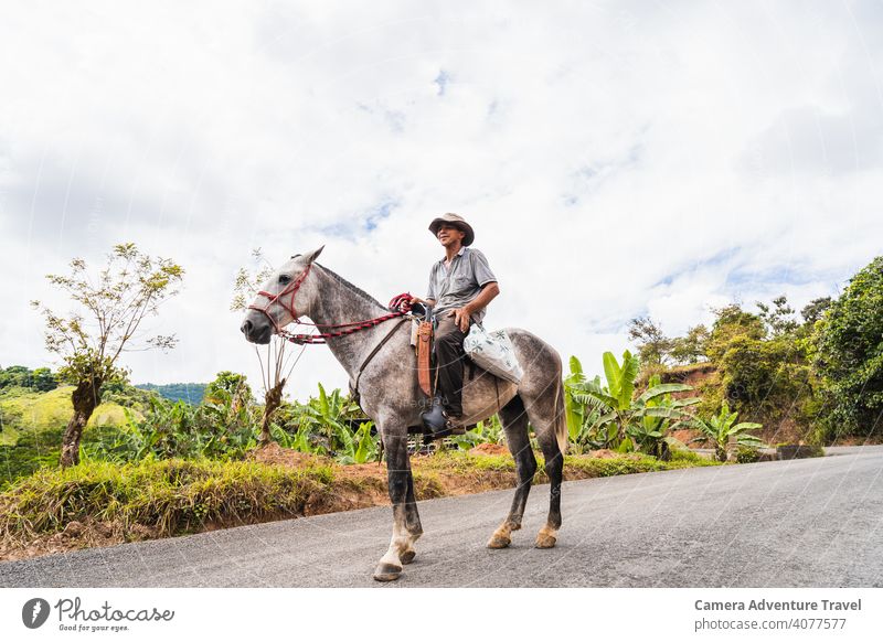 Landwirt Mann reitet Pferd Erwachsener Porträt Viehbestand landwirtschaftlich Ackerbau Tier Tiere Hintergrund Scheune Landschaft Ernte Bodenbearbeitung Kultur