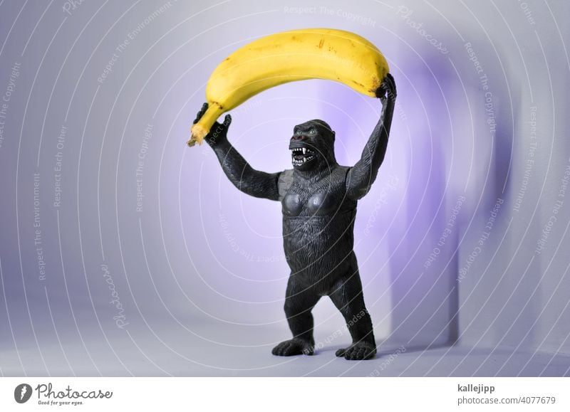 bananenrepublik Gorilla Affen Tier Farbfoto 1 Säugetier Menschenaffen schwarz Urwald wild Afrika Fell Tierwelt Spielzeug Plastik Monster Natur Banane