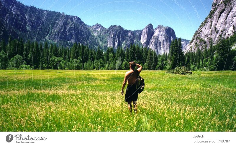 Weitblick Wiese Amerika Ferien & Urlaub & Reisen wandern Berge u. Gebirge Yosemite Park USA
