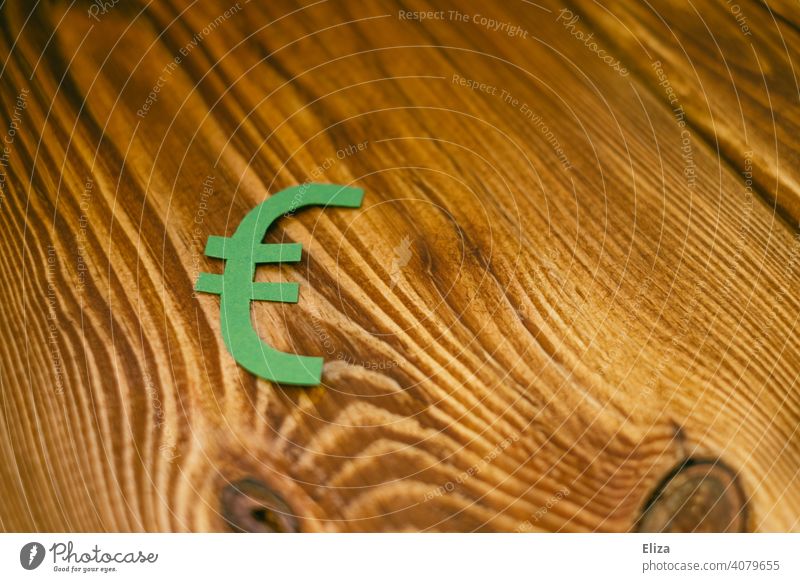 Grünes Eurozeichen auf Holz. Nachhaltige Geldanlagen. grün nachhaltig investieren Konsum Geld anlegen umweltschutz bewusst Nachhaltigkeit