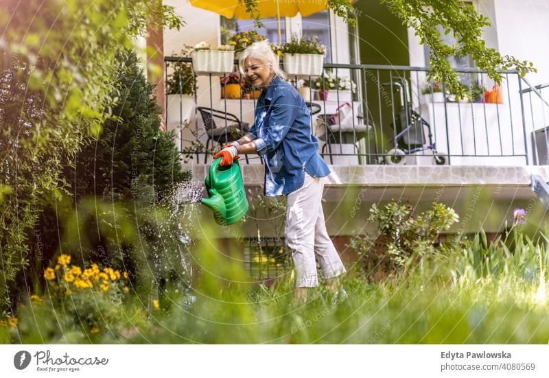 Ältere Frau bewässert Pflanzen in ihrem Garten im Freien Hinterhof außerhalb Rasen Gras arbeiten Hof Gartenarbeit Natur Hobbys Gärtner genießend aktiv