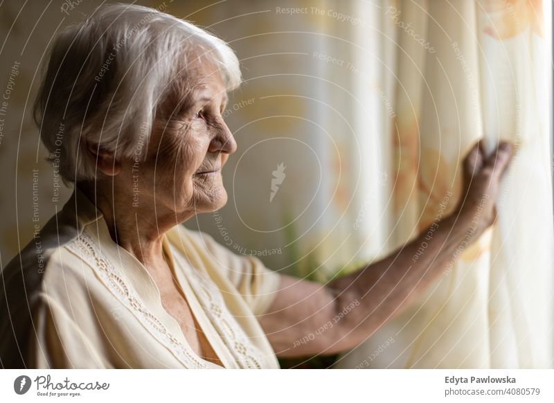Porträt einer älteren Frau zu Hause Menschen Senior reif lässig Kaukasier heimwärts alt Alterung häusliches Leben Großmutter Rentnerin Großeltern