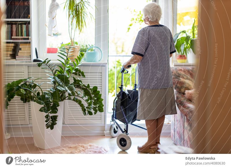 Rückansicht einer Seniorin mit Rollator zu Hause Gehhilfe Gleichgewicht Behinderung Rücken Stehen laufen Mobilität Gehhilfe eine Person Gerät Lehnen Schwäche