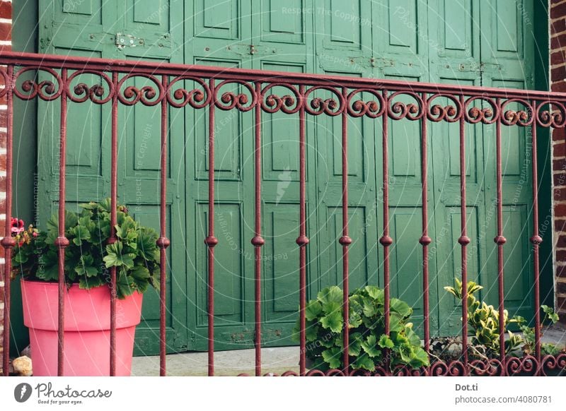 Balkon-Brüstung Gitter balkonbrüstung verzierung Ornament fensterläden Geranien Blumentopf Altbau grün pink Außenaufnahme Wand Fassade Haus Menschenleer alt