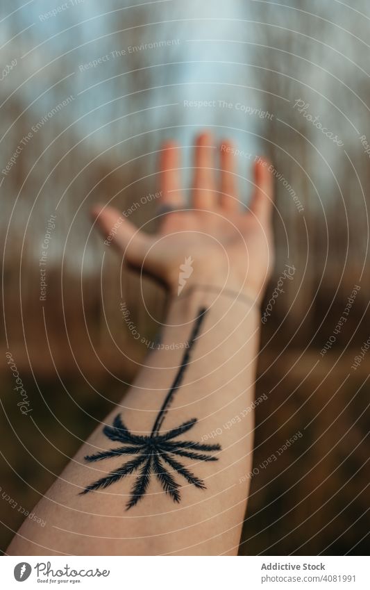Crop Hand mit Tattoo auf dem Lande Landschaft Konifere zeigend Wald Berge u. Gebirge groß tagsüber Ansicht organisch natürlich riesig Handfläche traditionell