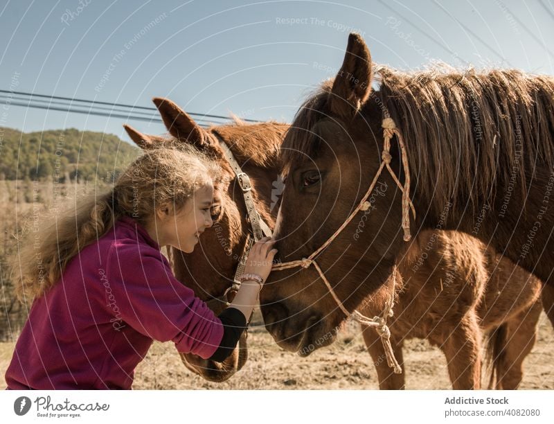 Frau kümmert sich um Pferd Pflege Pferdestall Lektion Ranch Tier sonnig tagsüber professionell Hobby Scheune Außenseite Baracke Verkaufswagen Hengst Stute