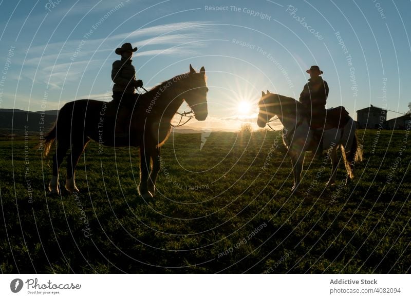 Menschen reiten Pferde Reiten Ranch Sonnenuntergang Himmel Abend Mann Frau gestikulieren Sport Pferderücken Reiterin Lifestyle Freizeit Erholung heimisch Spaß