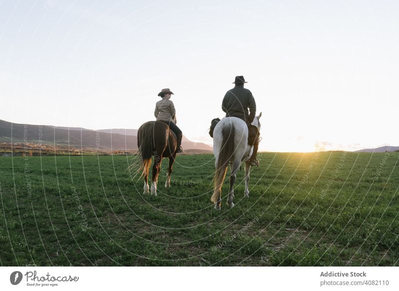 Menschen auf Pferden Reiten high five Ranch Sonnenuntergang Himmel Abend Mann Frau gestikulieren Sport Pferderücken Reiterin Lifestyle Freizeit Erholung