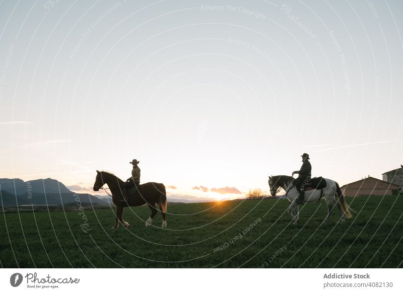 Mann und Frau reiten Pferde schön Freude Spaß professionell Erholung Landschaft Bauernhof Abenddämmerung Aktivität Ranch Lifestyle Rückansicht horizontal