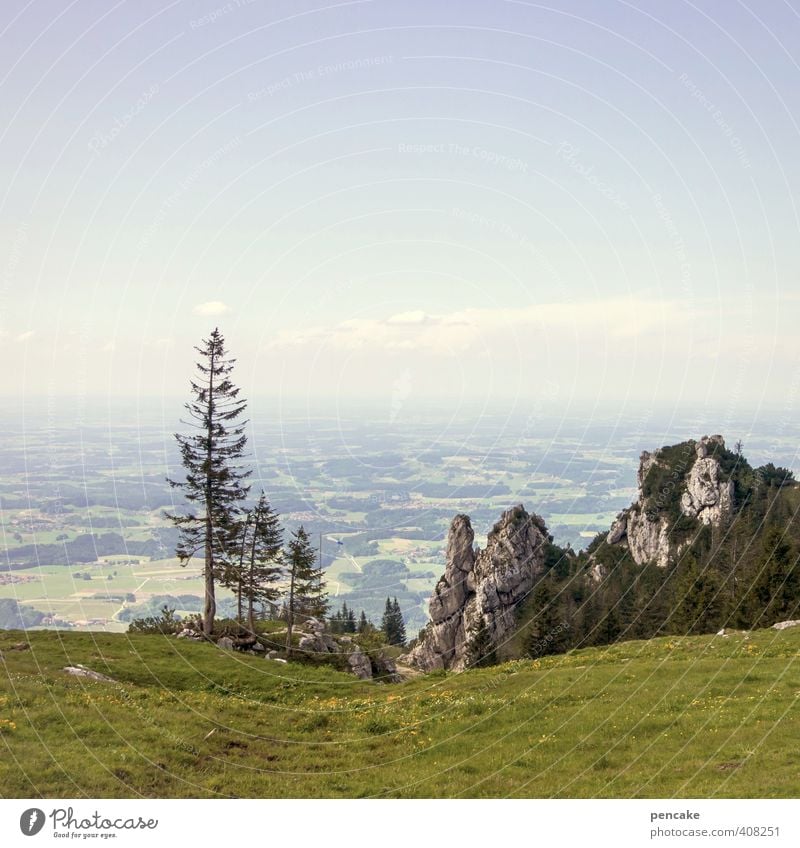 AST6 Inntal | fernblick Natur Landschaft Himmel Sommer Schönes Wetter Wald Alpen Berge u. Gebirge Kampenwand Ferne Chiemsee Fichte Felsen Alm Farbfoto