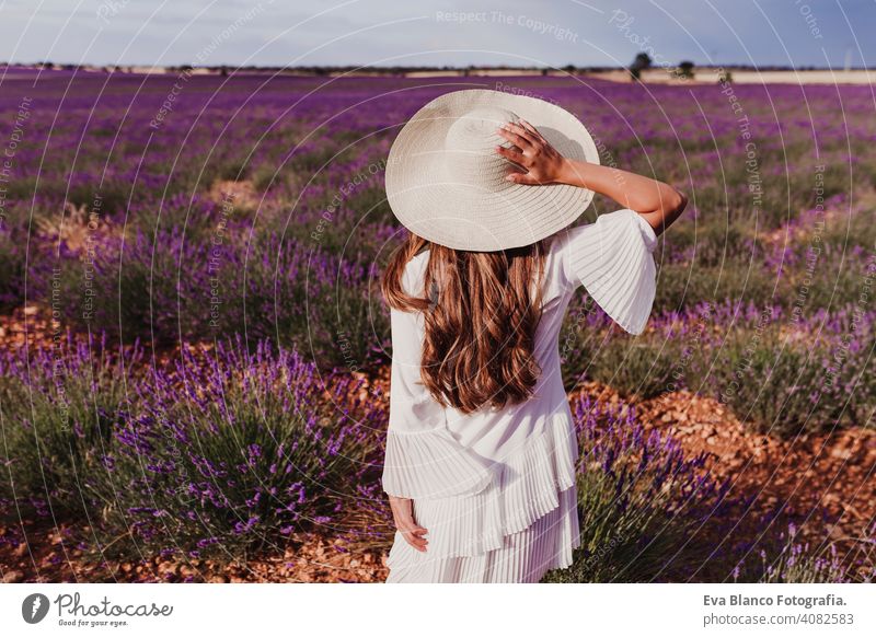 charmante Junge Frau mit einem Hut und weißem Kleid in einem lila Lavendelfeld bei Sonnenuntergang. LIfestyle im Freien. Rückansicht Wiese Schönheit Freude