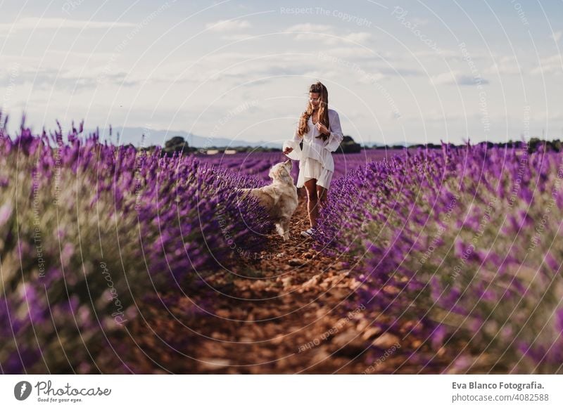 schöne Frau mit ihrem Golden Retriever Hund in Lavendelfeldern bei Sonnenuntergang. Haustiere im Freien und Lifestyle. Wiese Schönheit Freizeit Freiheit Feld