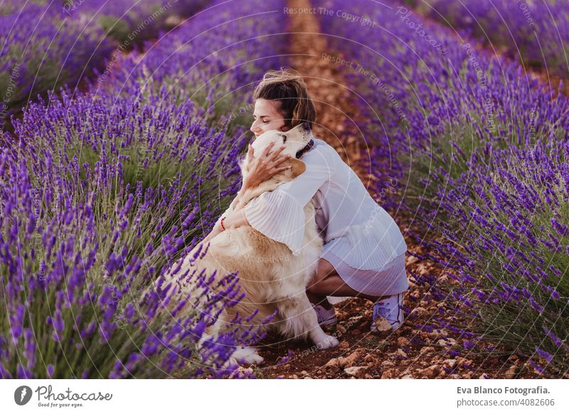 schöne Frau, die ihren Golden Retriever Hund in Lavendelfeldern bei Sonnenuntergang umarmt. Haustiere im Freien und Lifestyle. Wiese Schönheit Freizeit Freiheit