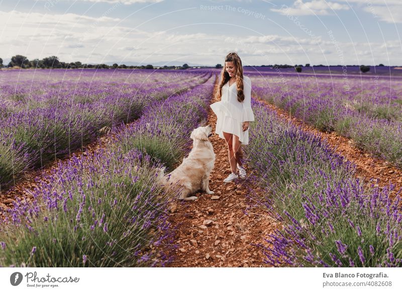 schöne Frau mit ihrem Golden Retriever Hund in Lavendelfeldern bei Sonnenuntergang. Haustiere im Freien und Lifestyle Wiese Schönheit Freizeit Freiheit Feld