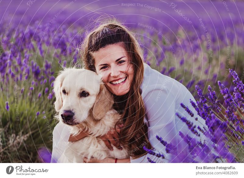 schöne Frau, die ihren Golden Retriever Hund in Lavendelfeldern bei Sonnenuntergang umarmt. Haustiere im Freien und Lifestyle. Wiese Schönheit Freizeit Freiheit