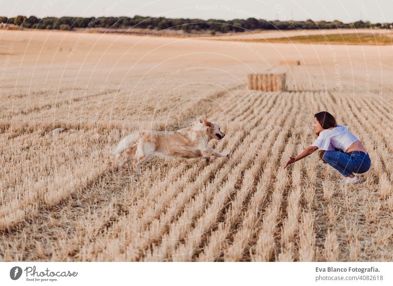 junge schöne Frau, die mit ihrem Golden Retriever Hund auf einem gelben Feld bei Sonnenuntergang spazieren geht. Natur und Lebensstil im Freien. Lustiger Hund läuft zu ihrem Besitzer