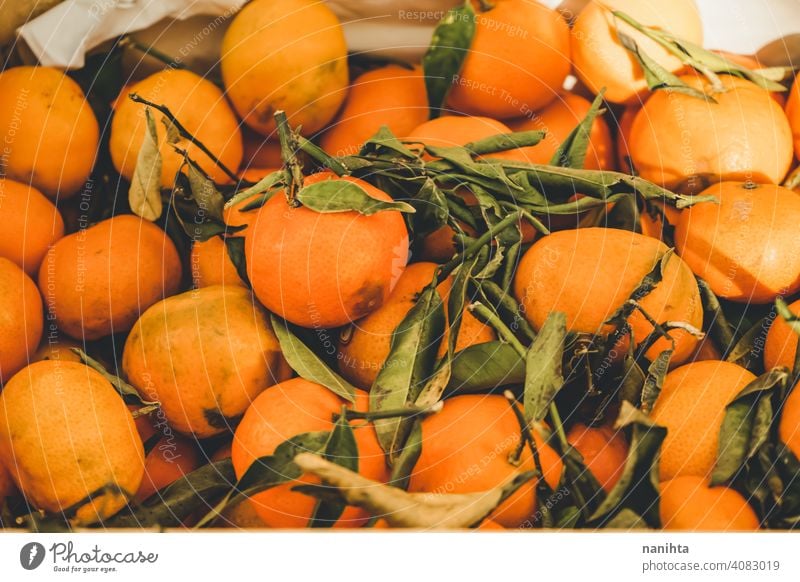 Valencia, Spanien, köstliche Clementinen der Saison Mandarine Frucht süß Lebensmittel roh Ernte saisonbedingt lecker Gesundheit Vitamin Zitrusfrüchte